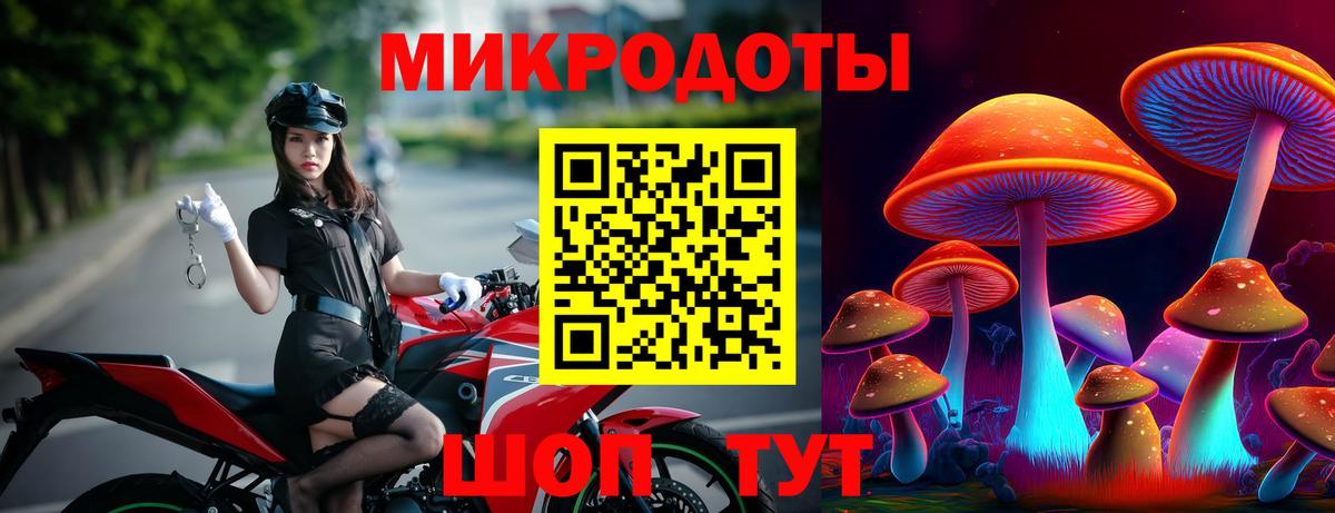 Коряжма  Псилоцибиновые грибы прущие грибы  Вход с VPN 
